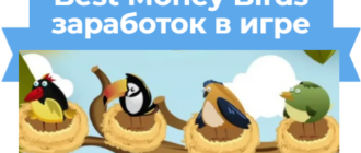 Best Money Birds