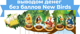 New Birds